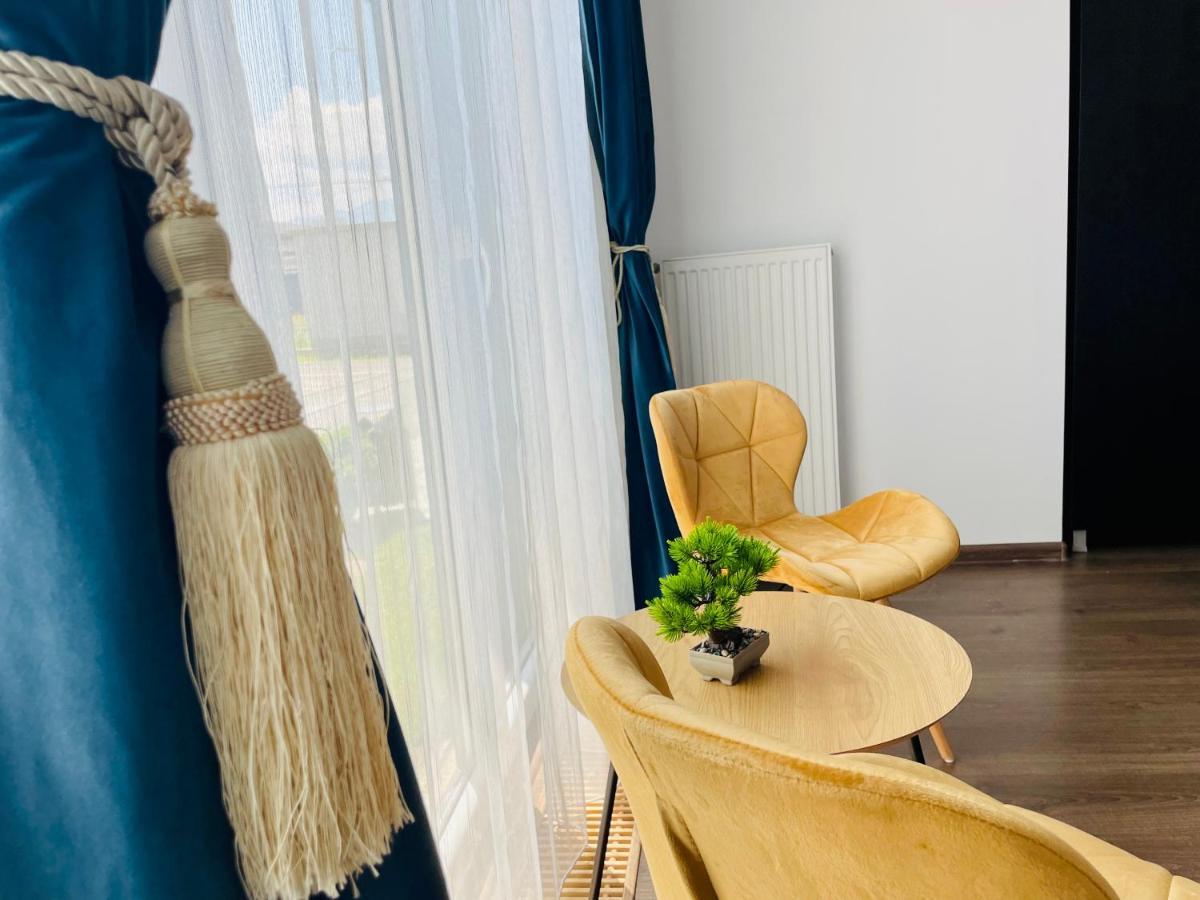Aventurescu Studio Brasov Coresi エクステリア 写真